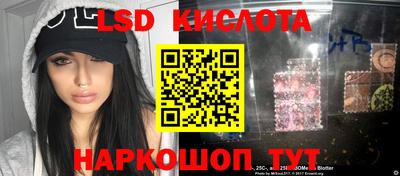 гашик Кулебаки