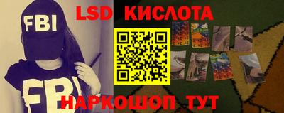 прущие грибы Кунгур