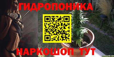 прущие грибы Кунгур