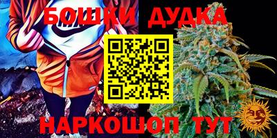 прущие грибы Кунгур